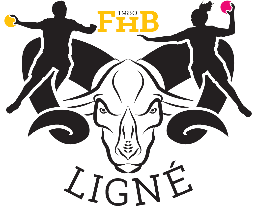 Pas de photo - FANS HANDBALL LIGNE