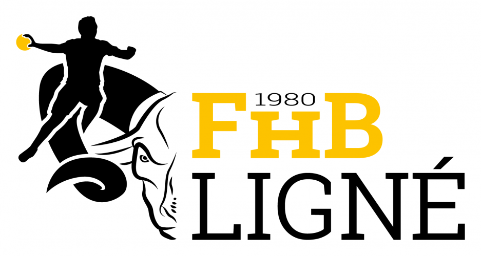 Logo FANS HANDBALL LIGNE